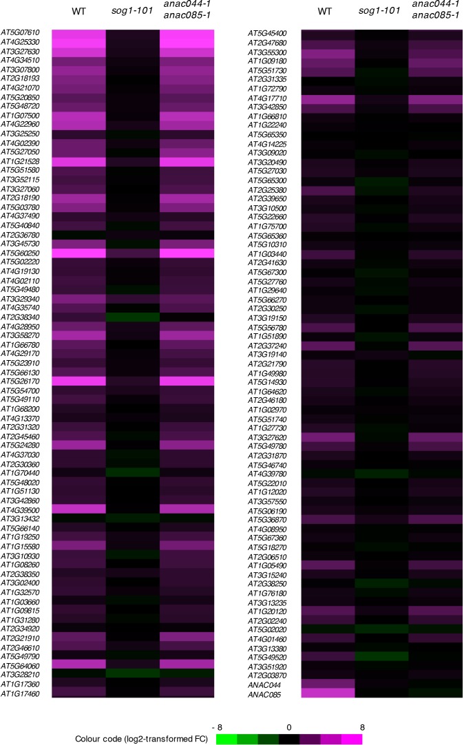 Figure 10—figure supplement 1.