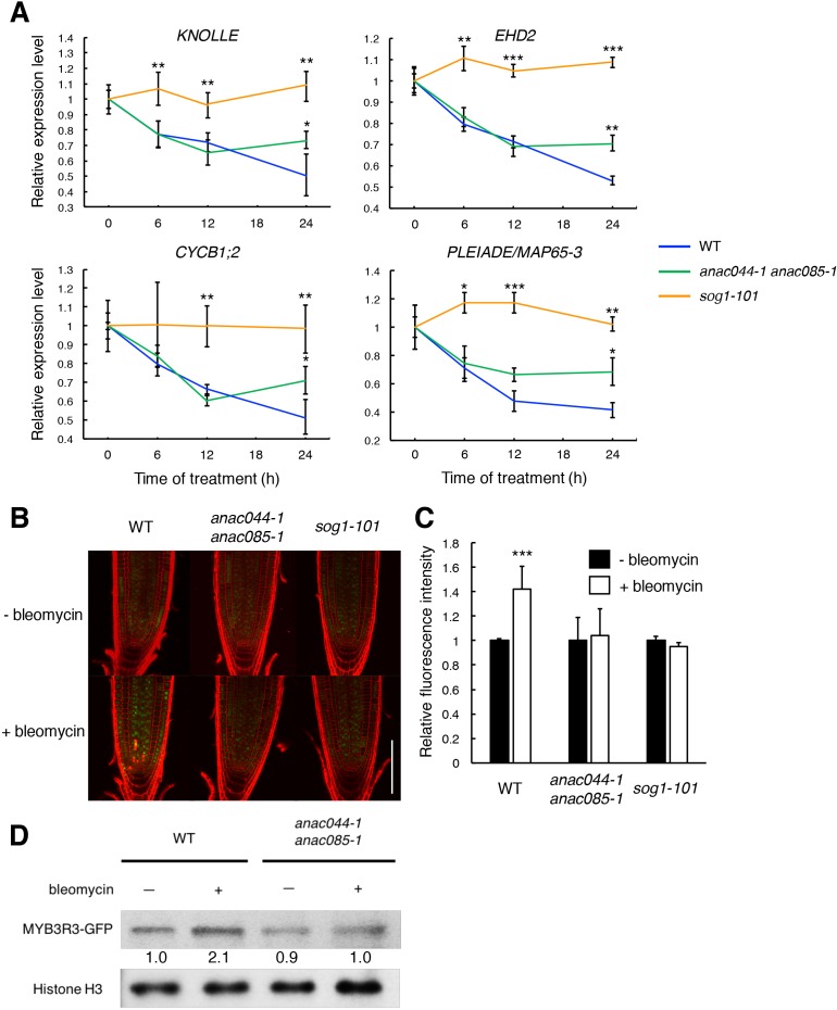 Figure 6.