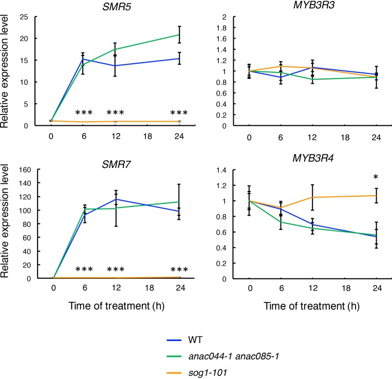 Figure 6—figure supplement 1.