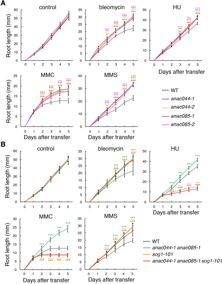 Figure 2—figure supplement 2.