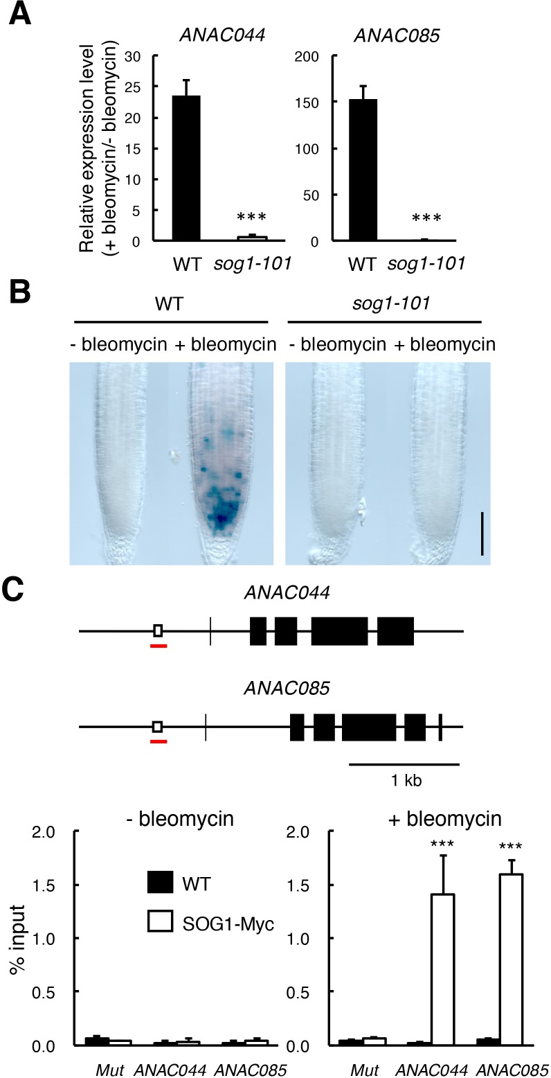 Figure 1—figure supplement 2.