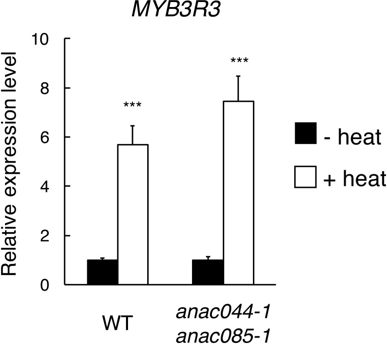 Figure 9—figure supplement 1.