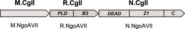 Figure 1.