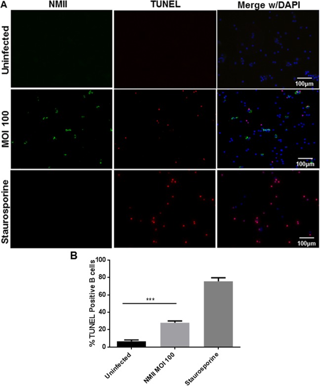 FIG 3