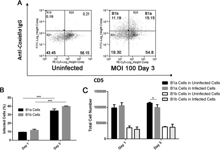 FIG 2