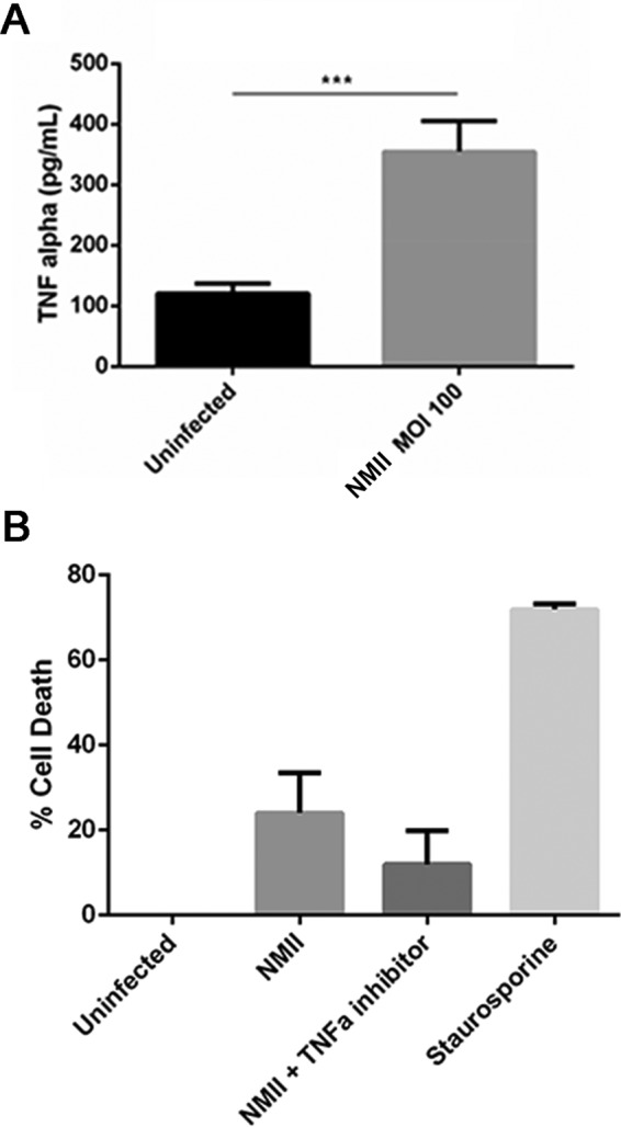 FIG 8