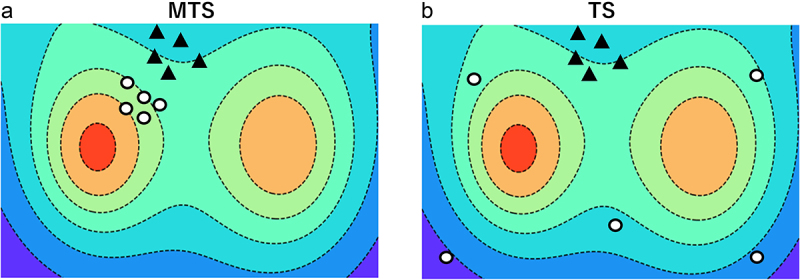 Image of MTS and TS algorithm behavior. MTS attempts to explore the neighborhood of the training data. TS explores distant locations from the training data and the neighborhood.