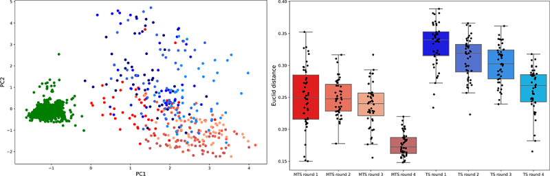 Scatterplot A is showing visualization of embedding sequences space using PCA. MTS gradually explores from around the training sequences. S explores a more diverse sequence space. Boxplot B is showing Euclid distance in embedding space from the nearest sequence in the training data at each round. MTS selects candidates in the vicinity of the training sequences and TS picks them far from the training sequences.