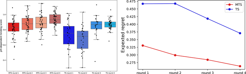 Boxplot A is showing pH-binding score distributions proposed by MTS and TS. MTS showed a steady increase in each round. Line plot B is showing the expected regret for MTS and TS. MTS has more efficient search than TS.