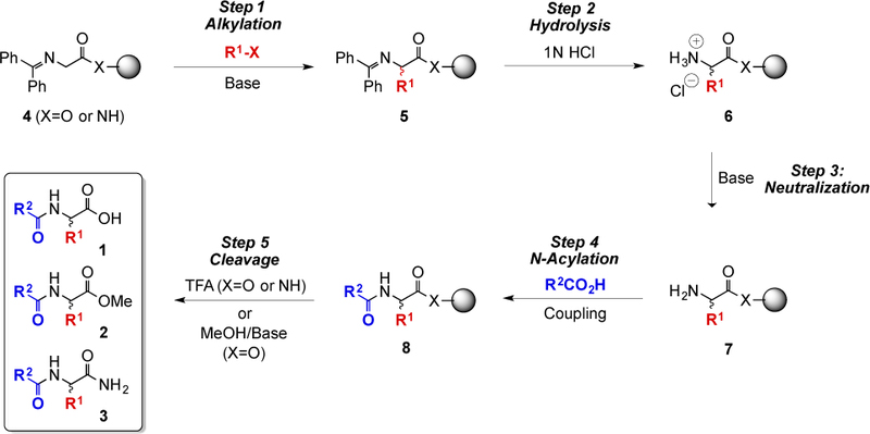 Scheme 1.