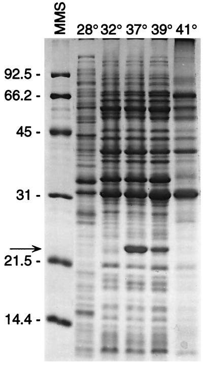 FIG. 4