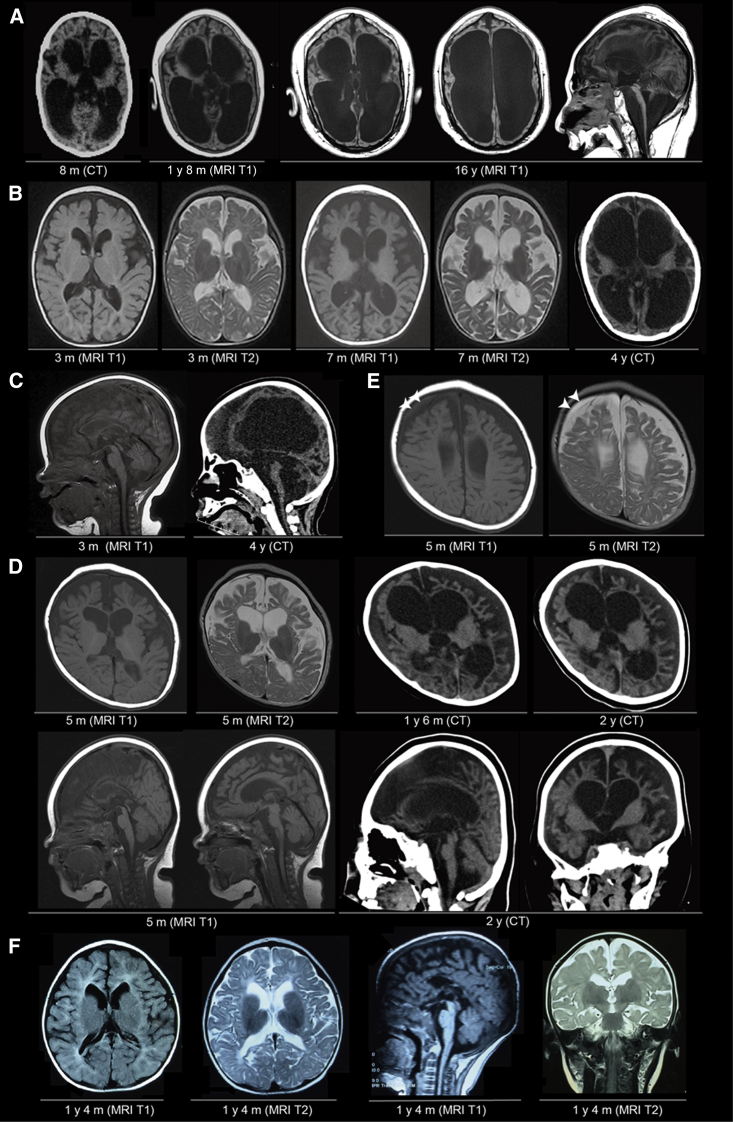 Figure 3