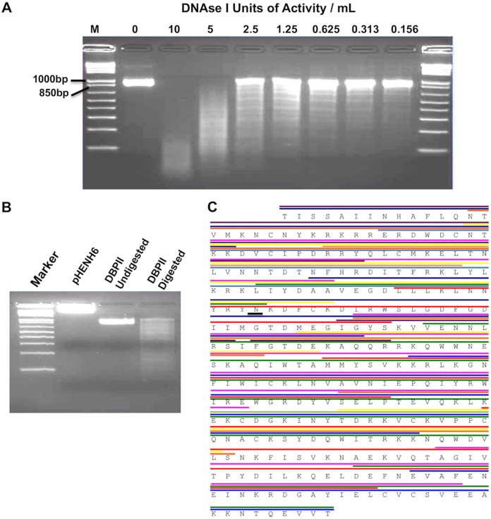 FIG 1