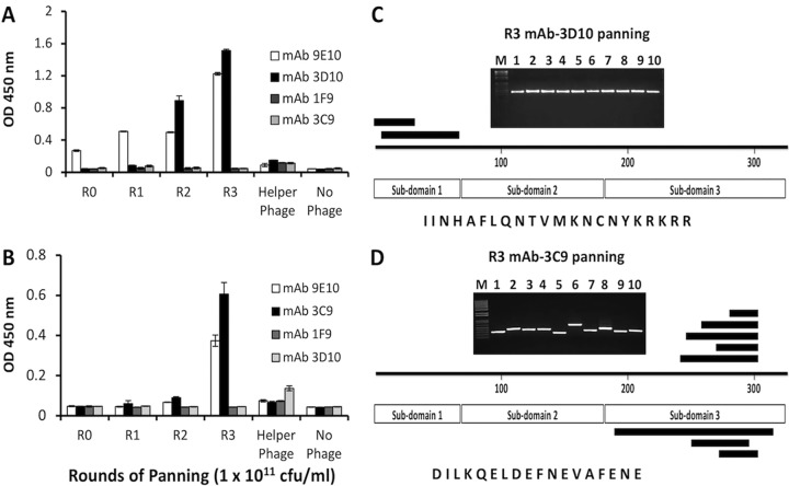 FIG 2