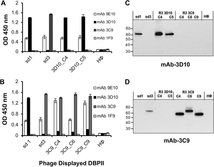 FIG 3