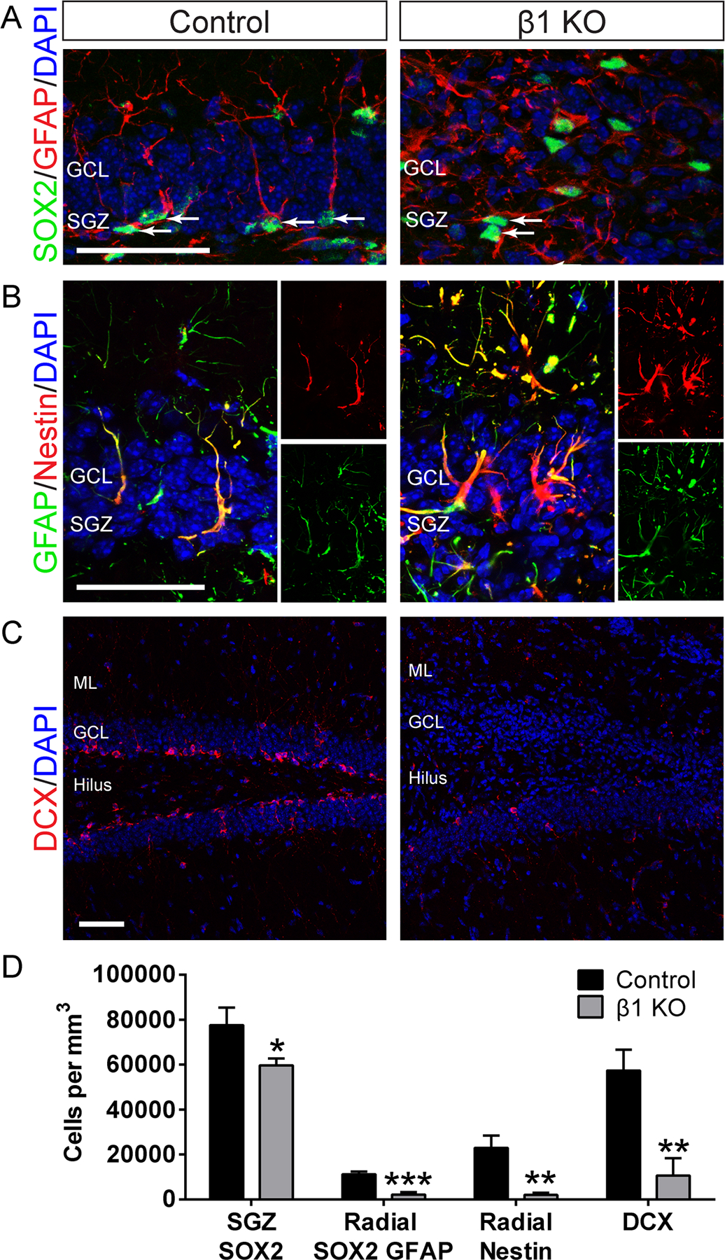 FIGURE 5: