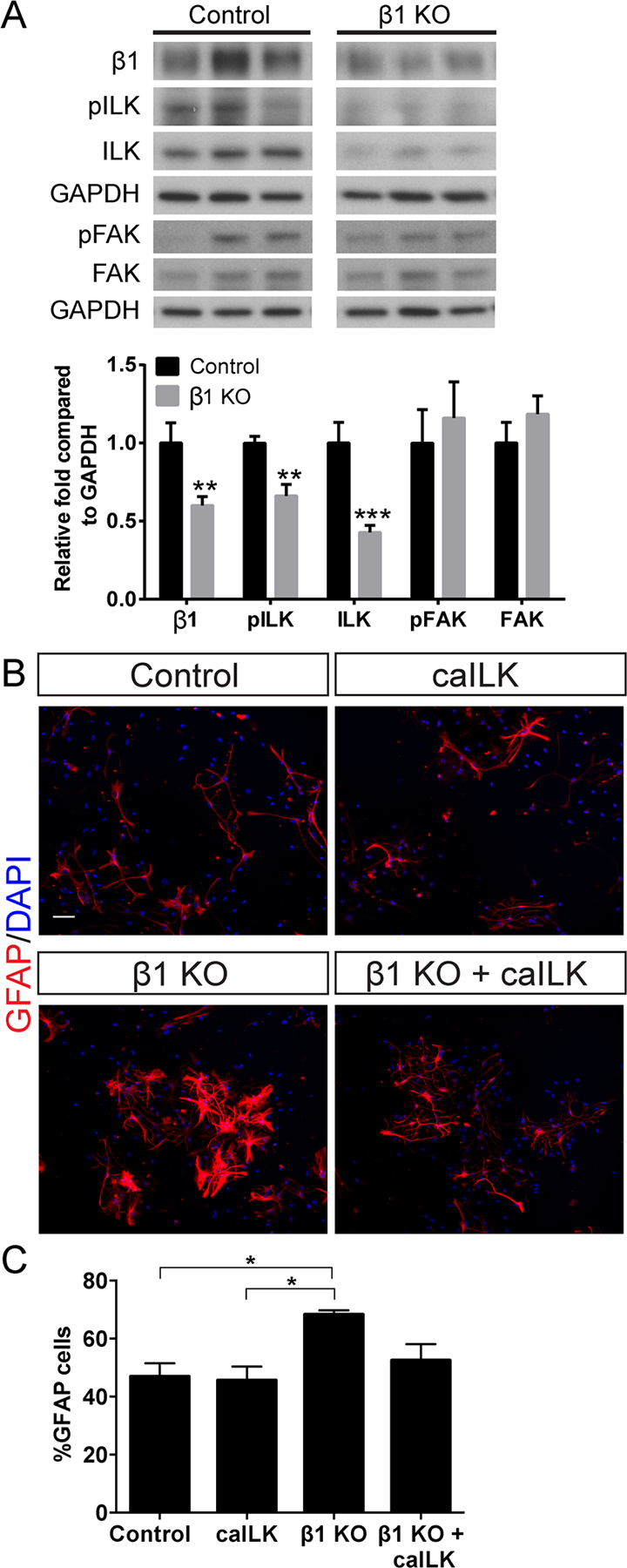 FIGURE 6: