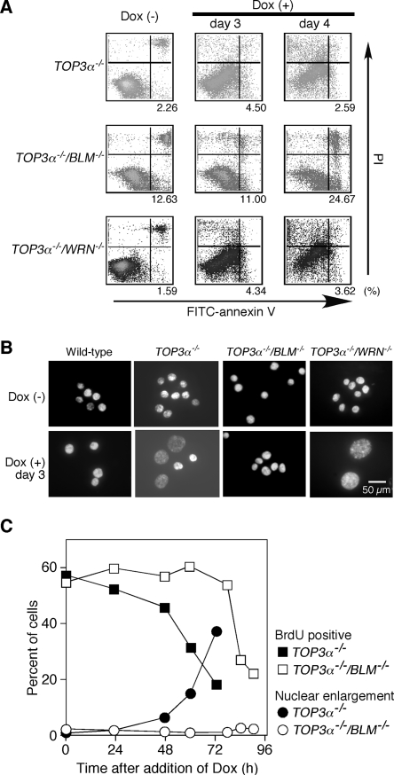 FIG. 6.