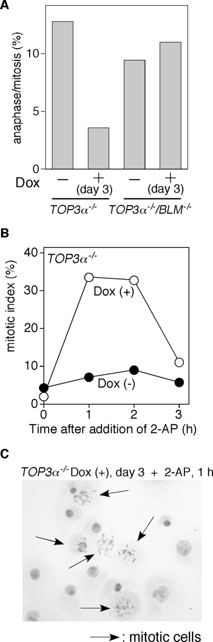 FIG. 5.