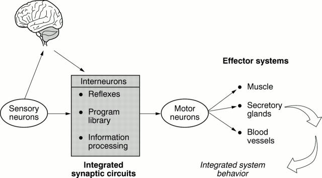 Figure 2  