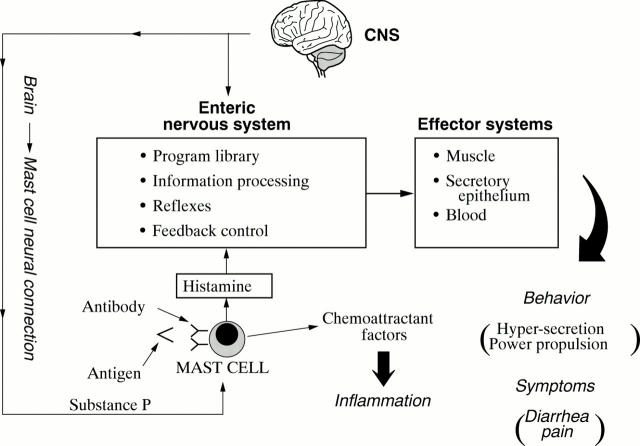 Figure 4  