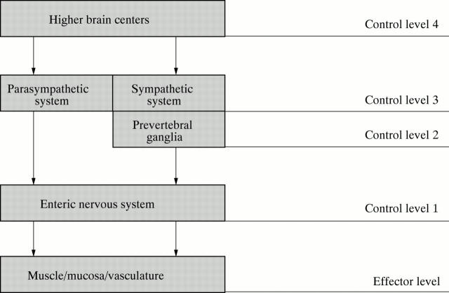 Figure 1  