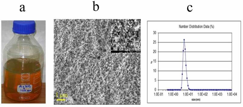 Figure 2.