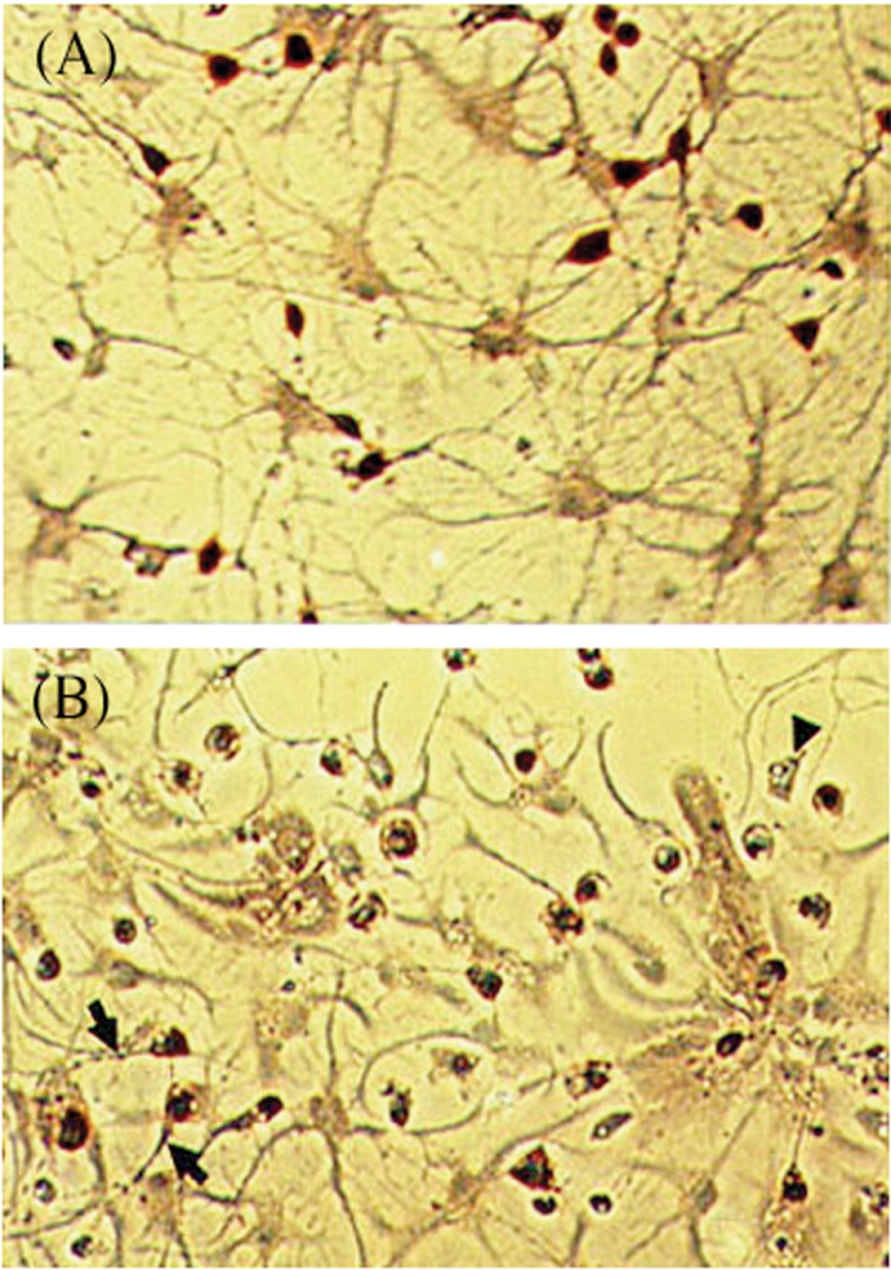 FIG. 5.