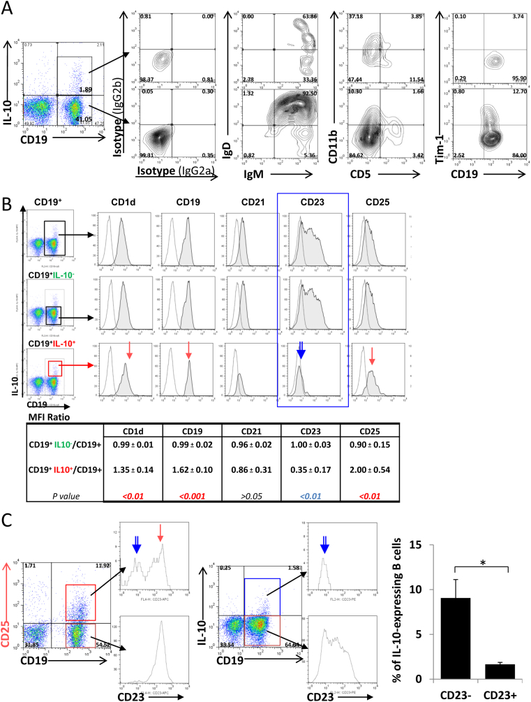 Fig. 4