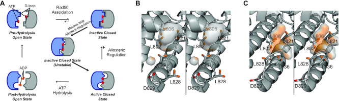 Figure 7.