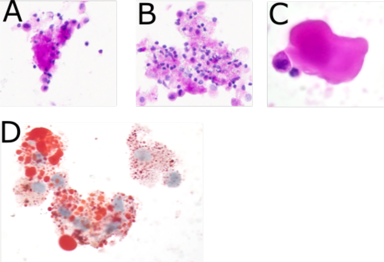 Figure 4: