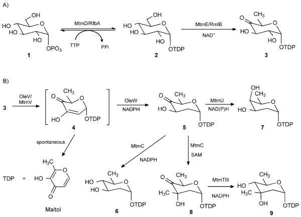 Scheme 2