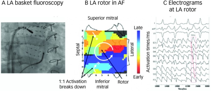 Figure 2: