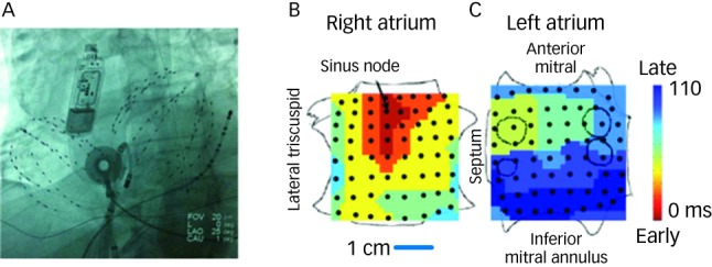 Figure 1: