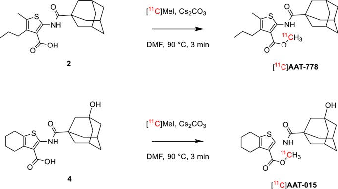 Scheme 2