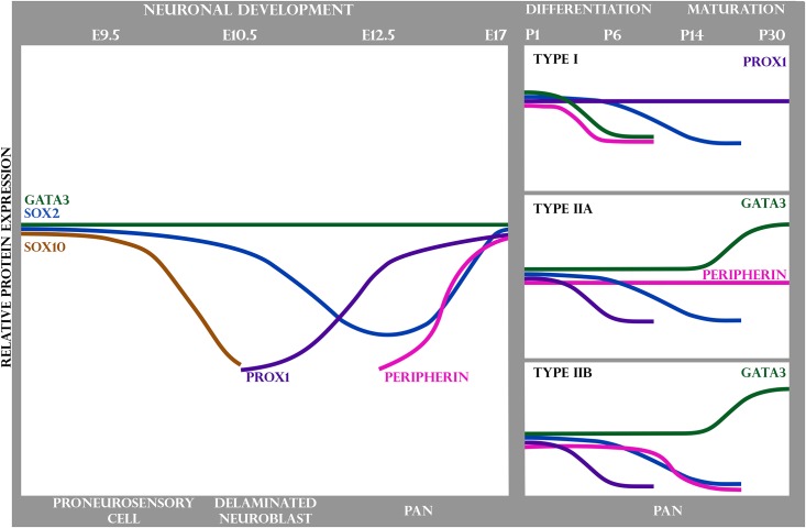 Fig 7