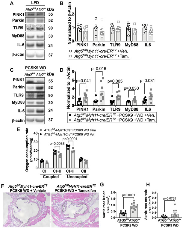 Figure 7: