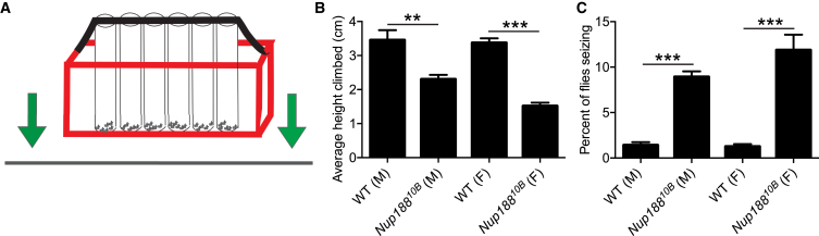 Figure 5