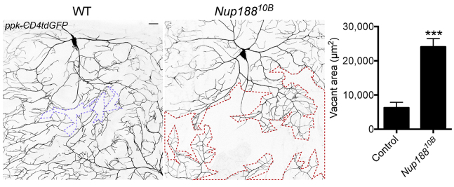 Figure 4