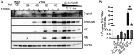 FIG 7
