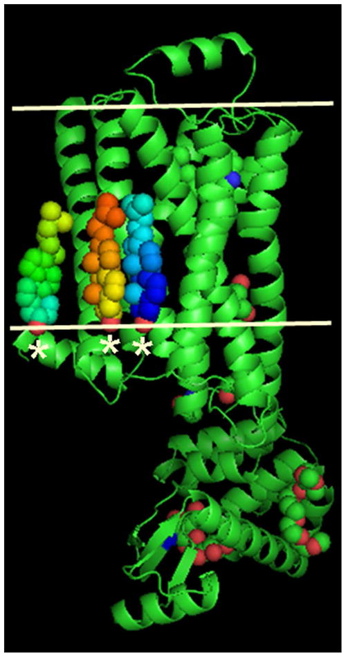 Figure 11