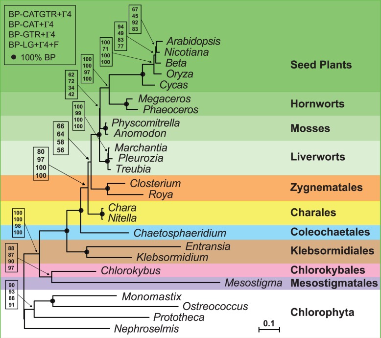 Fig. 9.—