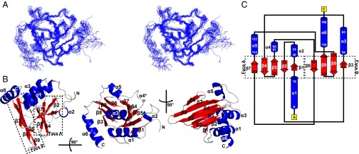 Fig. 1.