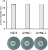 FIG 3