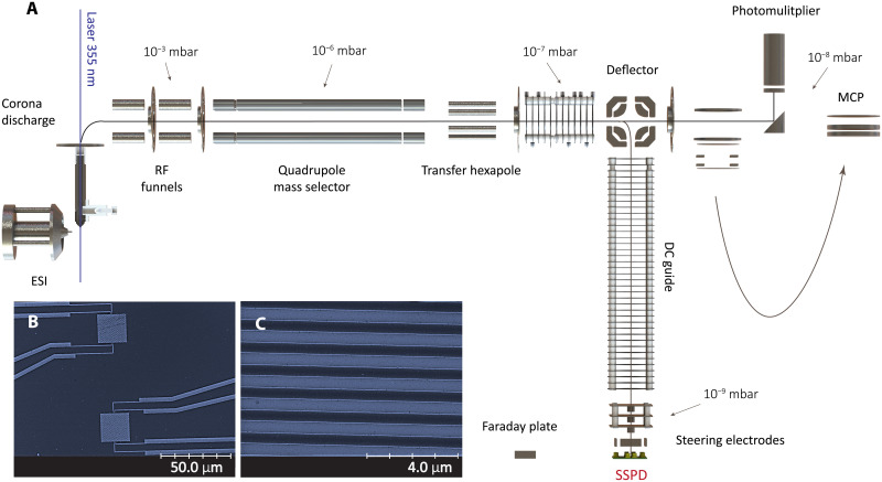 Fig. 1.