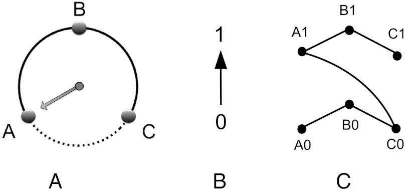 Fig. 2.