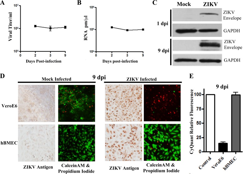 FIG 3 