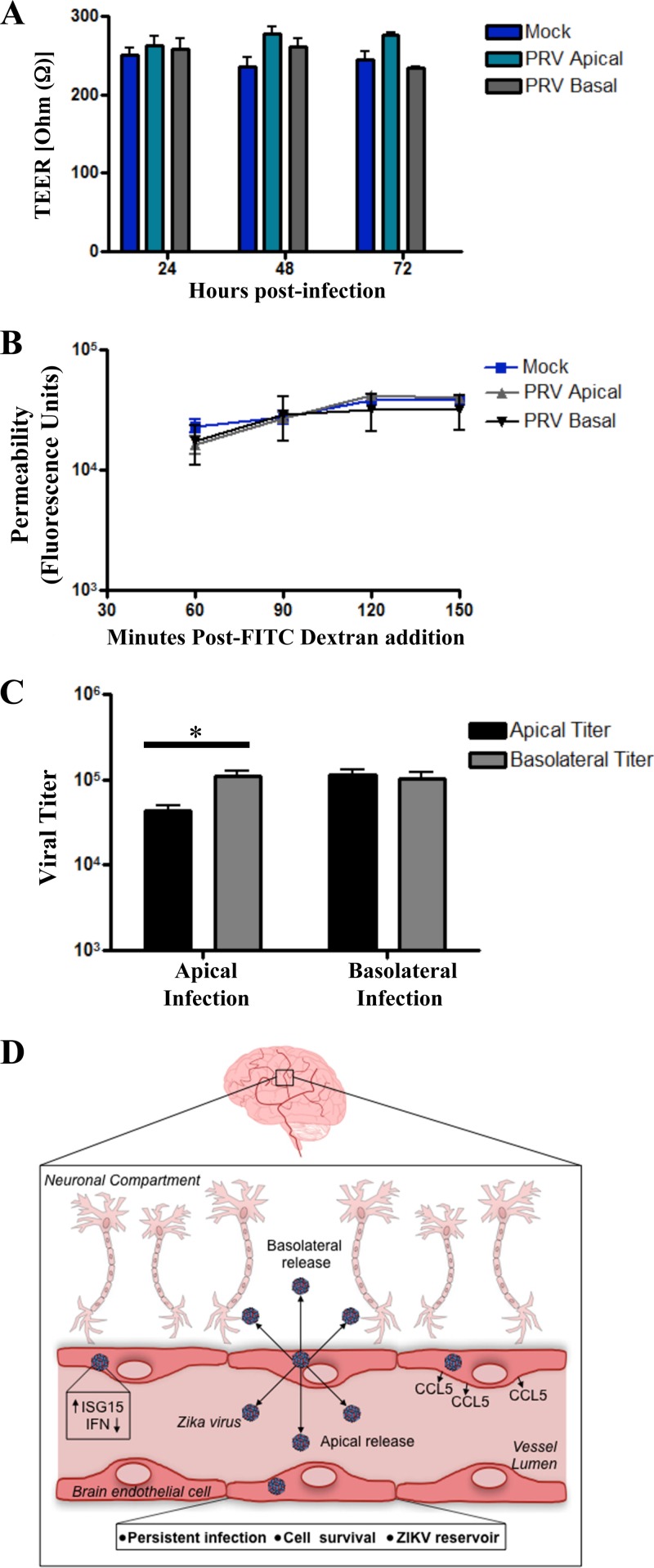 FIG 6 