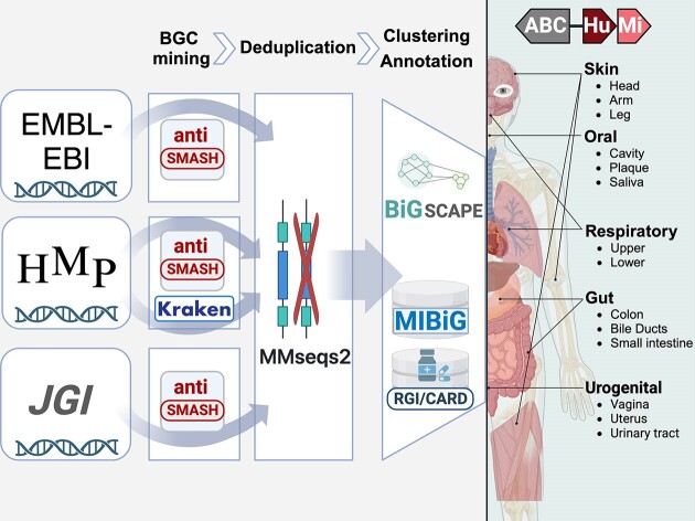 Graphical Abstract