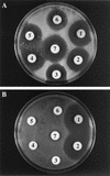FIG. 6.
